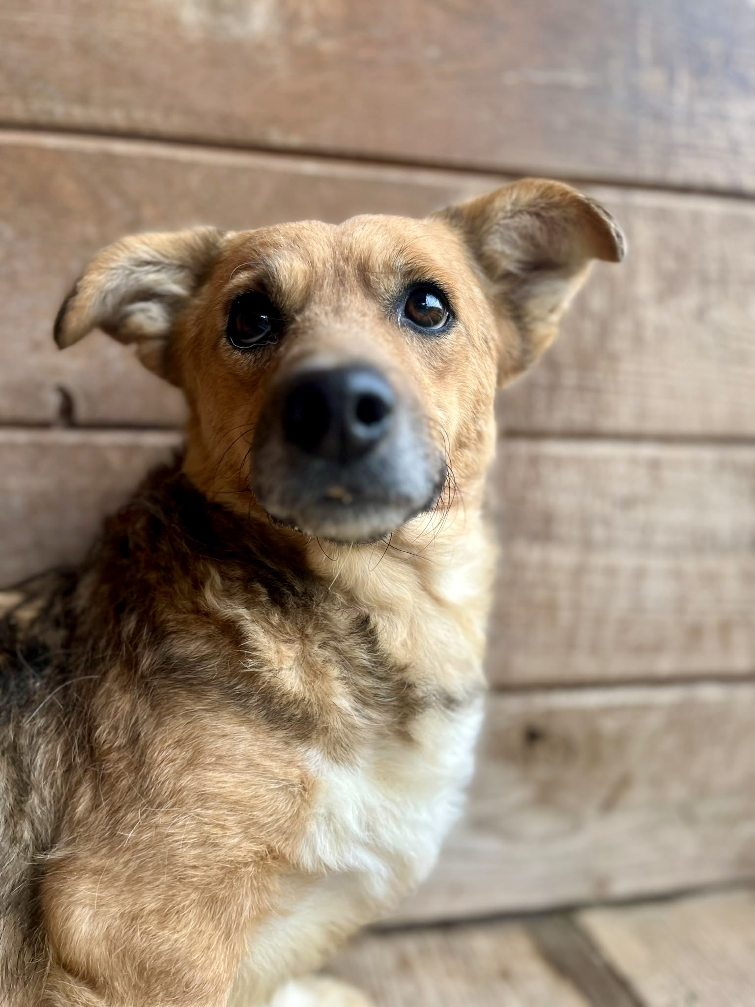 a8593308-226d-4bcc-beda-ebcee5ca8397
